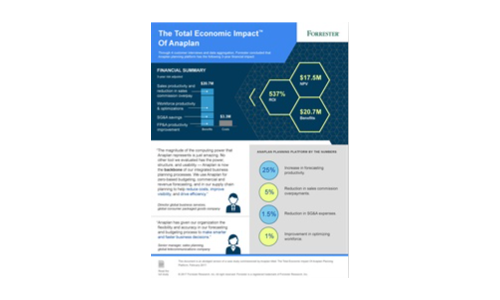 AnaplanのTotal Economic Impact™